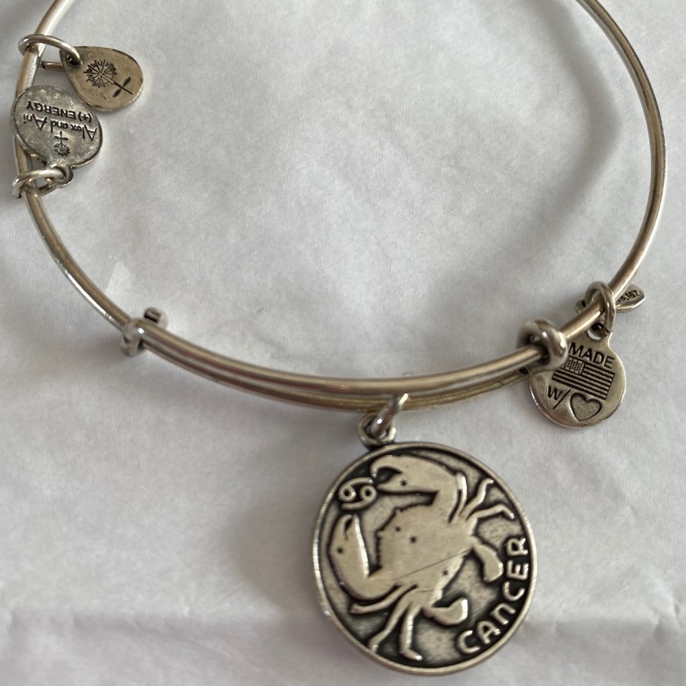 Alex & Ani bangle bracelet